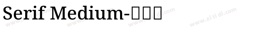 Serif Medium字体转换